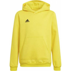 Толстовка adidas Entrada 22 Hoody Y Jr HI2142 / 140 см