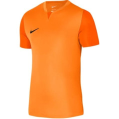 Футболка Nike Dri-FIT Trophy 5 M DR0933-819 / XL (188см)