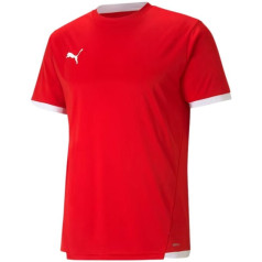 Джерси Puma teamLIGA M 704917 01 / XL