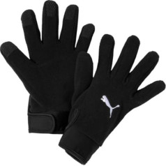 Перчатки Puma teamLiga 21 Winter Gloves M 041706-01 / S