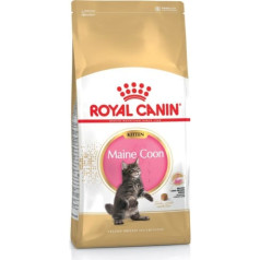 Karma royal canin fbn kitten maine coon (4 kg)