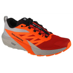Кроссовки Salomon Sense Ride 5 M 470462/46