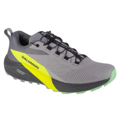 Кроссовки Salomon Sense Ride 5 M 471442/46