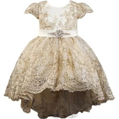 Embroidered Lace Christening Dress Smocked Christening Dress with Hood for Baby Girls 3-24 Months Newborn, Mix colour, 12-18 Monate