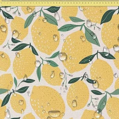 DreamRoots Waterproof Canvas, Upholstery Fabric, Sold by the Metre, 160 cm Wide, Water-Repellent Fabric, 220 g/m², 600D, Awning Fabric, Waterproof, Sold by the Metre