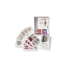 LIEDER Multimedia School Set Protozoa (Single Plate) Basic Pack of 8 Units