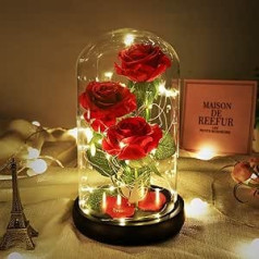Dream Of Flowers Beauty and the Beast Rose, Forever Stored in a Glass Dome Eternal Rose, Unique Gift for Women, Christmas, Valentine's Day, Mother's Day, Anniversary (Classic Red)