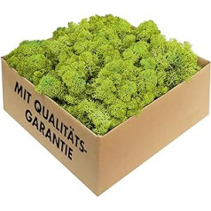 GJS Iceland Lichen Moss in 1 kg / 500 g / 200 g Pack, Various Colours, Real Preserved Natural Moss (Iceland) for Crafts, Decorative Moss for Easter Decorations, Model Making