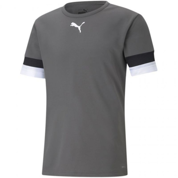 Футболка Puma teamRISE Дымчатая M 704932 13 / 2XL