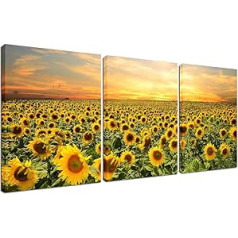 Sunflower Wall Decoration Framed Prints - Home Office Canvas Painting for Living Room Decorations Kitchen Bedroom Set of 3 Nature Photo Picture Artwork Landscape Sunset Poster 30.5 x