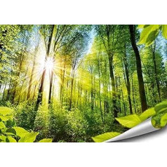 ARTBAY Forest Poster XXL - 118.8 x 84 cm | A Sun-flooded Magical Forest | Nature Poster | Premium Quality