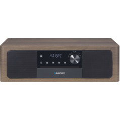 Blaupunkt MS22BT