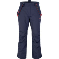Лыжные брюки Darin M 92800549414 / XL