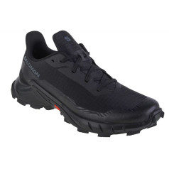 Кроссовки Salomon Alphacross 5 W 473127 / 42