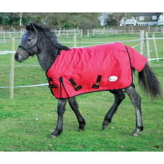 Коврик для улицы Rhinegold Foal King средний вес 200gsm наполнитель