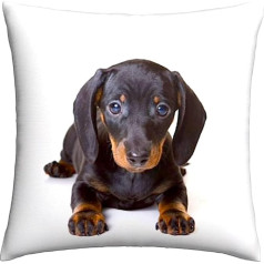 Пляжная остановка Такса Собака Подушка Обложка Мягкая 45x45 см