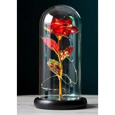 ONE SHOP Rose die Schöne und das Bestai Rosa LED stabilisiert Geschenk Frau Mutter Valentinstag Glaskuppel Dekoration Hochzeit Konfirmation Jahrestag (Rot)