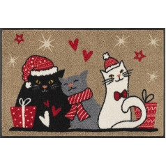 Придверный коврик wash+dry Cuddle Time, 50 x 75 см, моющийся, для использования внутри и снаружи помещений