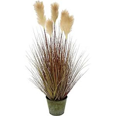 Pampas Grass in Pot Feather Grass Shore Grass Silk Flowers Grass Bush Decorative Grass Artificial Plants Artificial Grass Artificial Plant Solitaire Grass Decorative Grass Decorative Plant Pampas