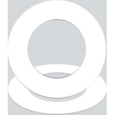 GASKET24 Прокладка PTFE virginal EN 1514-1 IBC DN 15; PN 10/40 51x22x2 (упаковка из 50 штук)