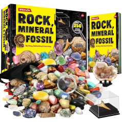 Dr. Daz Rock Fossil Mineral Collection Activity Kit Contains 250+ Real Specimens, Ultimate Display Case, Fossils, Gems, Rocks, Real Minerals for Kids, Great Science Gift for