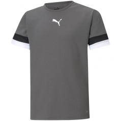 Футболка Puma teamRise Jersey Jr 704938 13 / 164