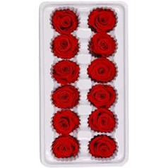 Amosfun 12pcs Preserved Rose Eternal Rose Flower Heads Wedding Decoration Gift Bouquet Craft Red