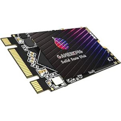 GamerKing SSD M.2 2242 256GB Ngff Internal Solid State Drive 1TB 512GB 128GB 64GB for Desktop Laptops SATA III 6Gb/s High Performance Hard Drive (256GB, M.2 2242)