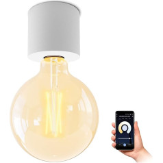 SSC-LUXon Nambi Vintage Ceiling Light White with WiFi Filament Bulb E27 Smart LED - Surface Mounted Lamp Round Compatible with Alexa, Siri & Google