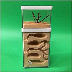 Ant nest ant farm castle natural insect ecological box nest for learning ants in the labyrinth learning toy, watch ants their own ants