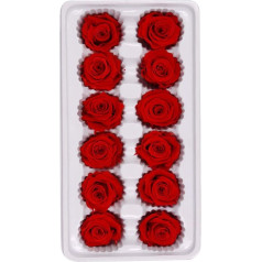 Amosfun 12pcs/box Preserved Rose Heads for Everpink Rose Heads for Wedding Decorations Gift Crafts Red