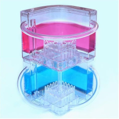 Муравьиная ферма-гнездо-жилище-муравьиный замок Мастерская для детей и взрослых. Посмотрите, как муравьи роют свой собственный туннель в м