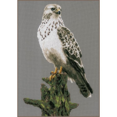 Lanarte Вышивка Крестом Наборы Счетный Крест Вышивка Картин Набор Falke Украшение Стены Ручной Работы Набор Для Взрослых 26 x 40 см DIY Украшения Рем