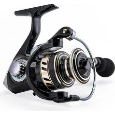 Angelrollen Karpfenrad Meer Polrolle Angelausrüstung Spinning Angelrolle Serie Karpfenrolle (Цвет : Splendour, Размер : 6000)