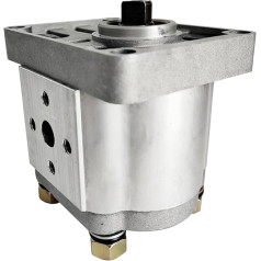 KIRANDY Шестеренчатый насос Гидравлический масляный насос CBN-F310 F314 F306 F320 F325 F316 (Цвет : CBN-F305)