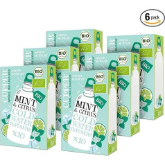 Cupper Organic Cold Water Infusers Mint & Citrus, 6 Pack, 60 Unbleached Tea Bags, Eco Friendly, Fair Trade (Cold Brew Tea, Cold Tea)
