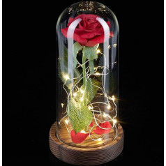 Relaxdays Вечная роза со сказочными огнями, подарок женщине, стеклянный купол, деревянная основа, Красавица и чудовище, искусственная роза, кра