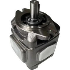 Гидравлический шестеренчатый насос HYDRAULIKPUMPE CP0-08-P-10R CP0-10-P-10R CP0-13/16/20-P-10R CP1-25-P-10R CP1-32/40/50/63-P-10 ZAHNRADPUMPE(CP1-32-P-10R)