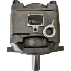 KIRANDY Шестеренчатый насос внутреннего зацепления HG2-80/100/125/160-01R-VPC Servo Oil Pump (Цвет : HG0-20-01R-VPC)