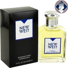 New West FOR MEN от Aramis - 100 мл Спрей с ароматом кожи (новая версия)