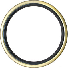 Уплотнение вала 100 x 125 x 13 D2 NBR 70