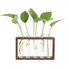 Hyindoor Ваза для гидропоники с деревянной подставкой и щеткой для чистки, 5 пробирок