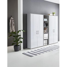 Bmg Möbel Шкаф настенный Office Edition Lockable Filing Cabinet Office Furniture Shelf in Light Grey / White Matt (Set of 10)
