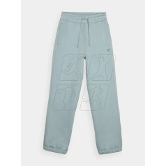 Брюки W WAW24TTROF0819-47S / XS