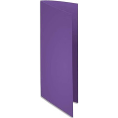 Exacompta - Ref 210008E - Папка для документов Rocks Square 240 мм x 320 мм A4 210gsm цветной картон - фиолетовый (упаковка из 100)
