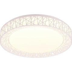 Потолочный светодиодный светильник Reality Leuchten Cluster R67321101 пластиковый белый с диммером на 40 Вт с дистанционным управлением