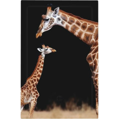 Искусство Пластины Мать Ребенок Жираф Печатных Стены Пластина Крышка Переключатель Пластина Крышка 1 Ганг Toggle Декоративные Стены Пластин