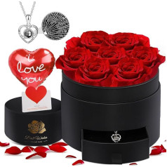 N&T NIETING Вечная роза с ожерельем I Love You на 100 языках, вечная роза ювелирные изделия подарочная коробка для ее жен девушка жена мать на Рождеств