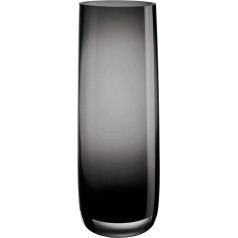 ASA 88004009 Стеклянная ваза, 29 см