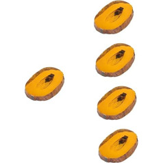 iplusmile Насекомое янтарь насекомых образец насекомых насекомых ювелирные изделия насекомых коллекция насекомых камень насекомых украшения